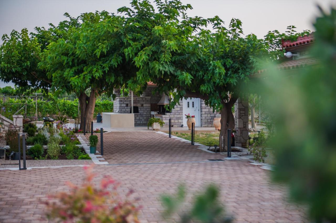 كيوبارِسِيا Terra Helios Suites & Studios المظهر الخارجي الصورة
