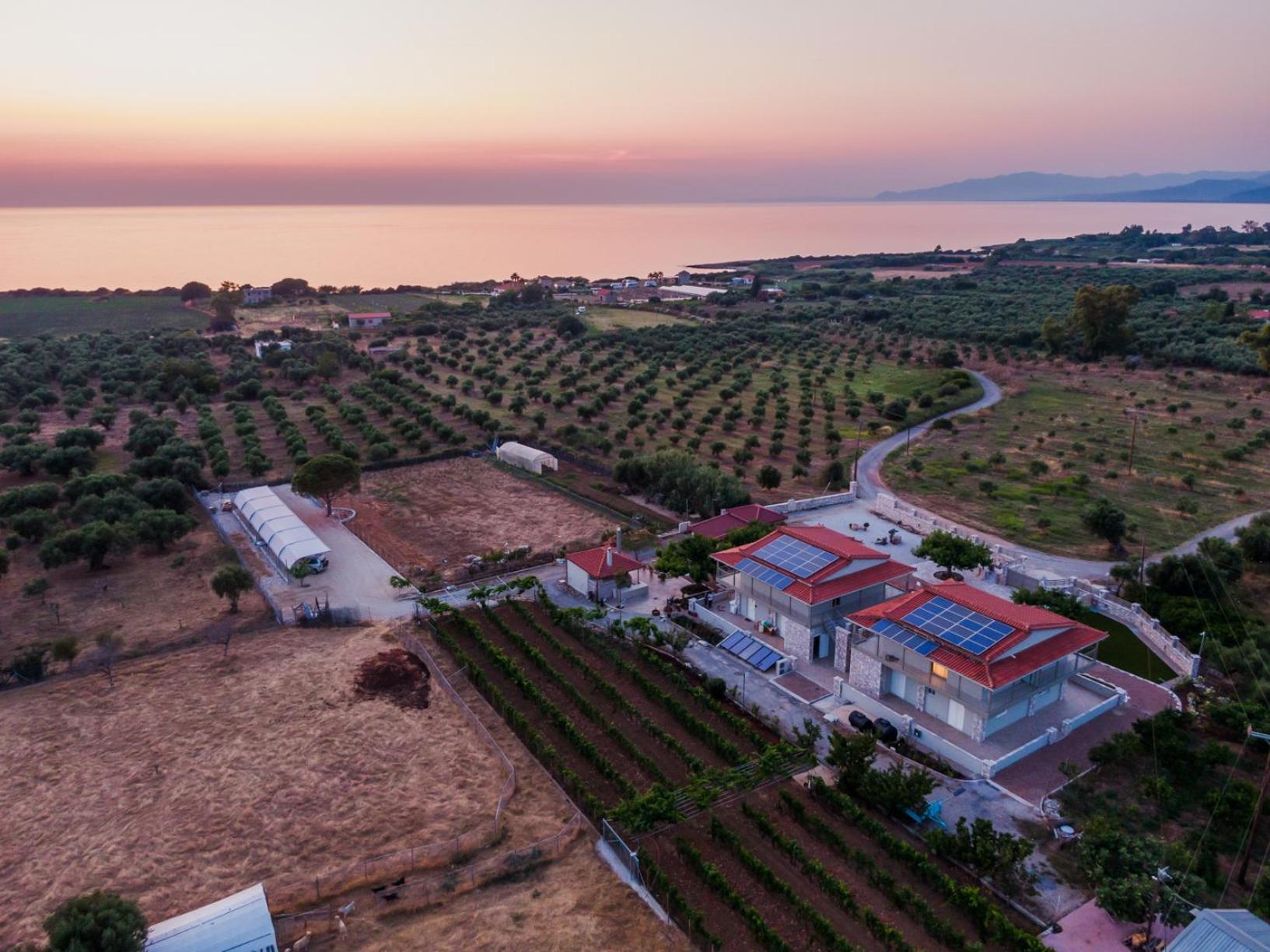 كيوبارِسِيا Terra Helios Suites & Studios المظهر الخارجي الصورة